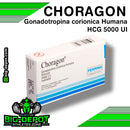 CHORAGON Gonadotropina-corionica Humana HCG 5000 UI - FERRIG - esteroide