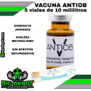 VACUNA ANTIOBESIDAD ((inco Biloba + L-Carnitina + Té Verde + Cloruro de Sodio)  Caja con 5 viales de 10 ML / ANTIOB Nacional Stetic