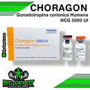 CHORAGON Gonadotropina-corionica Humana HCG 5000 UI - FERRIG - esteroide