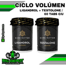 CICLO VOLÚMEN - Ligandrol + Testolone / 60 tabletas C/U | SARMS DARK MATTER - SARMS