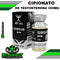 Testoplex-C300 300 mg Testosterona Cipionato XT Labs 10 ml Big Depot original

