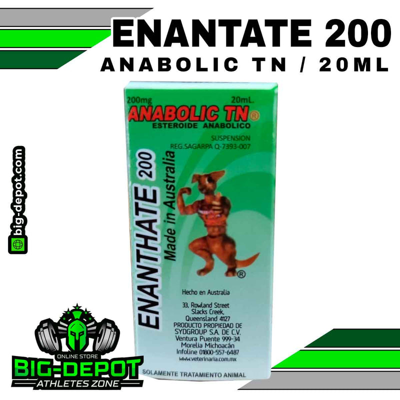 ENANTATE 200mg / Anabolic TN / 20ml | ESTEROIDES VETERINARIOS CANGURO | MAYOREO - esteroides veterinarios