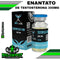 Testoplex-E300 300 mg Testosterona Enantato XT Labs 10 ml Big Depot original
