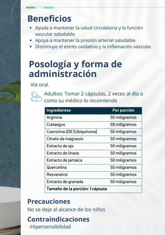 Endothelial Support -  Salud cardiovascular 💓 - 90 capsulas PLANTCEUTICS