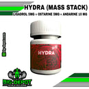 Hydra Mass Stack 20 mg ligandrol ostarine andarine Dragon Pharma 60 cápsulas Big Depot original