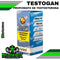 Testogan 100mg fenilpropionato testosterona Karachi Labs 10ml Big Depot original