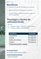 Prostate Formula - Tamaño y Salud de la prostata, inhibe inflamación  🧔 - 90 caps | PLANTCEUTICS