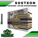 Sosteon - Propionate 30mg/ml, Phenylpropionate 60mg/ml, Isocaproate 60mg/ml, Decanoate 100 | ZION PHARMA - esteroide