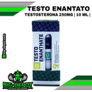 TESTO ENANTHATE 250mg (Enantato de Testosterona) | 10 ml | SMART Pharmaceutical - esteroides anabolicos